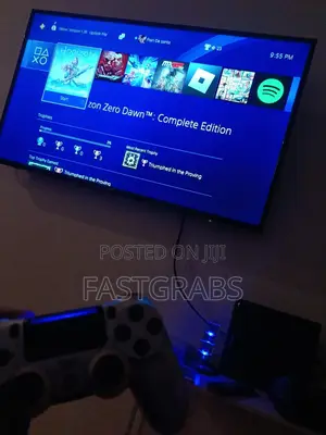 Ps4-Nintendo Game Accounts