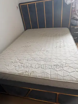 Queen Size Bed and Mattress