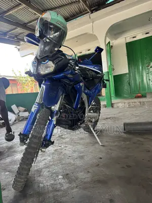 Apsonic AP250 PRO 2024 Blue