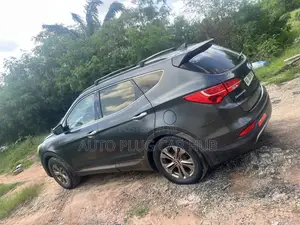 Hyundai Santa Fe 2014 Blue
