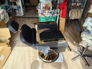 Hair Salon Chair