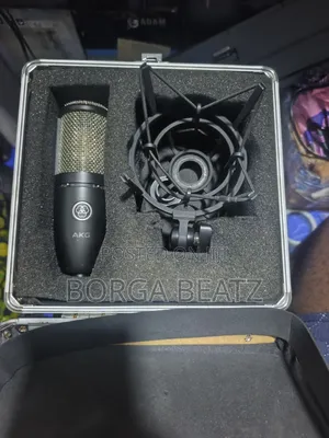Akg P22 Studio Condenser Microphone