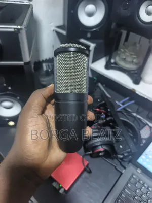 Akg P22 Studio Condenser Microphone