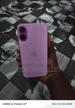 Apple iPhone 16 Plus 256 GB Pink