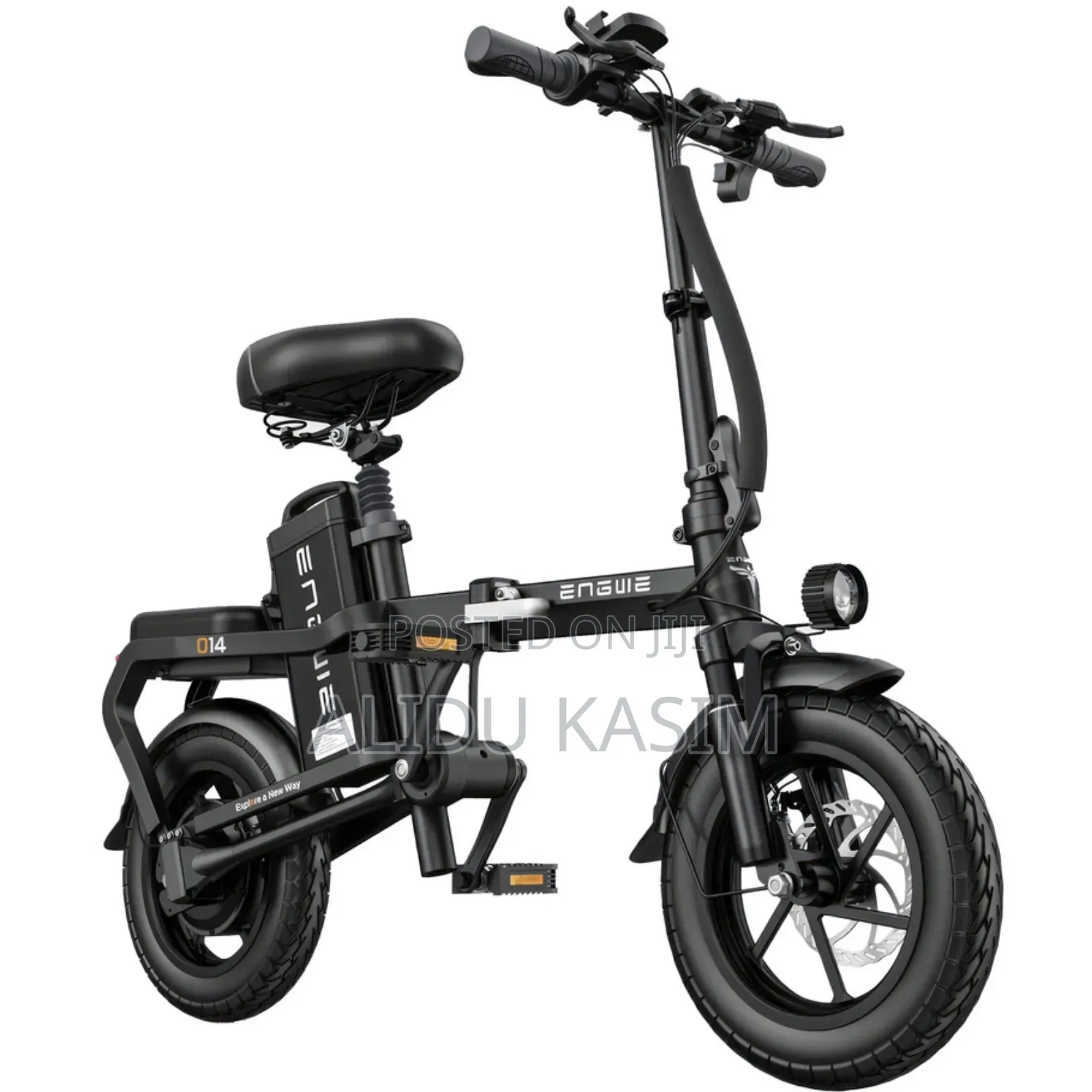 Foldable Electric Bike