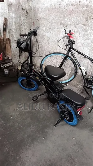 Foldable Electric Bike