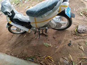 Luojia 110cc 2025 Black
