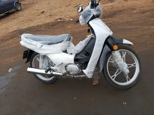Luojia 110cc 2025 Black