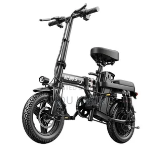 Foldable Electric Bike