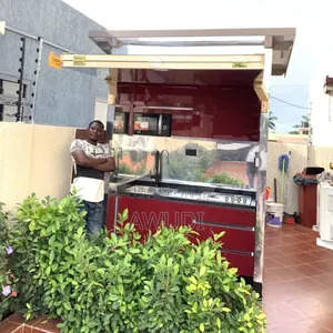 Mini Outdoor Kitchen