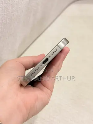 Apple iPhone 15 Pro Max 256 GB Gray