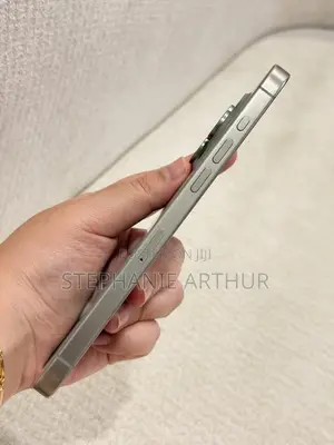 Apple iPhone 15 Pro Max 256 GB Gray