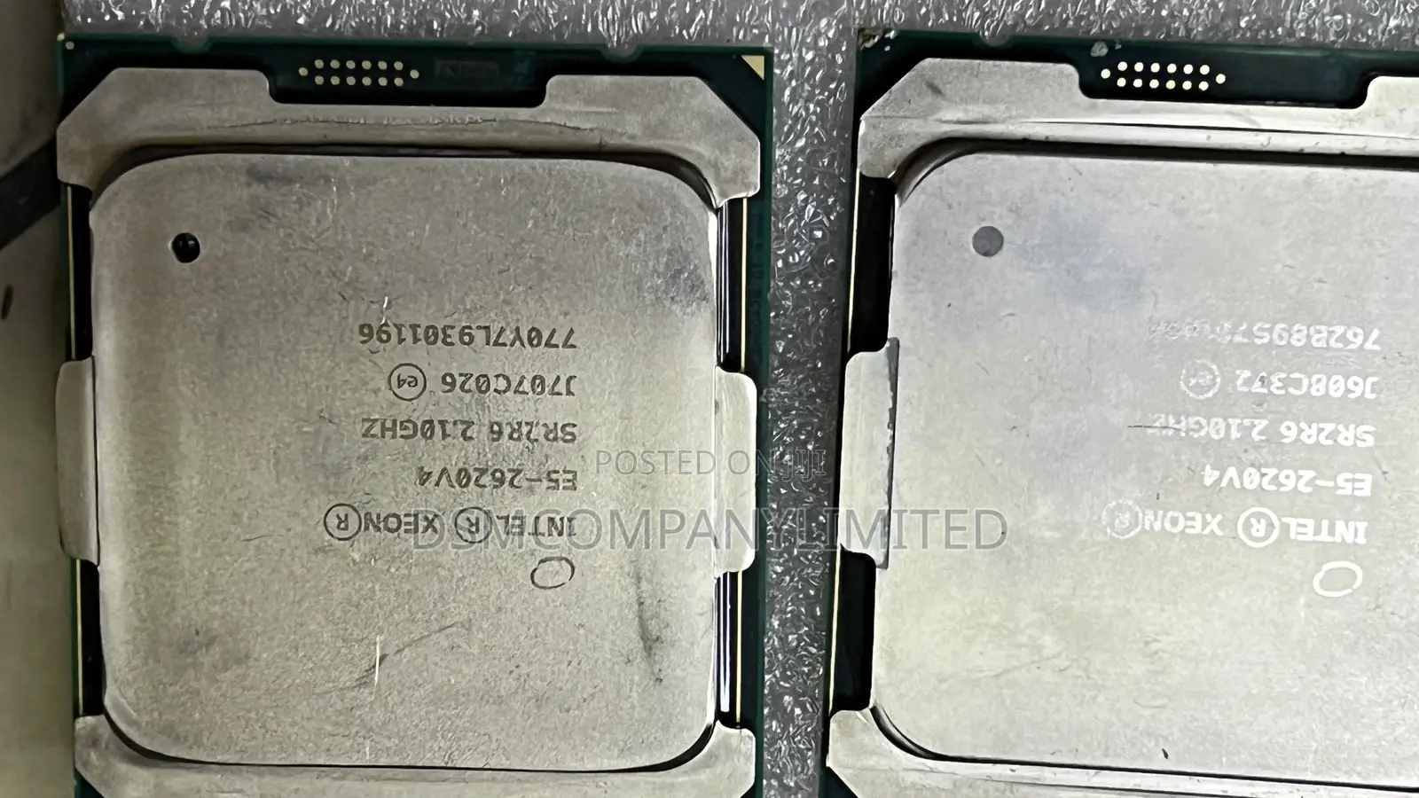 Intel Xeon Processors(X, E, W) Server/Workstation