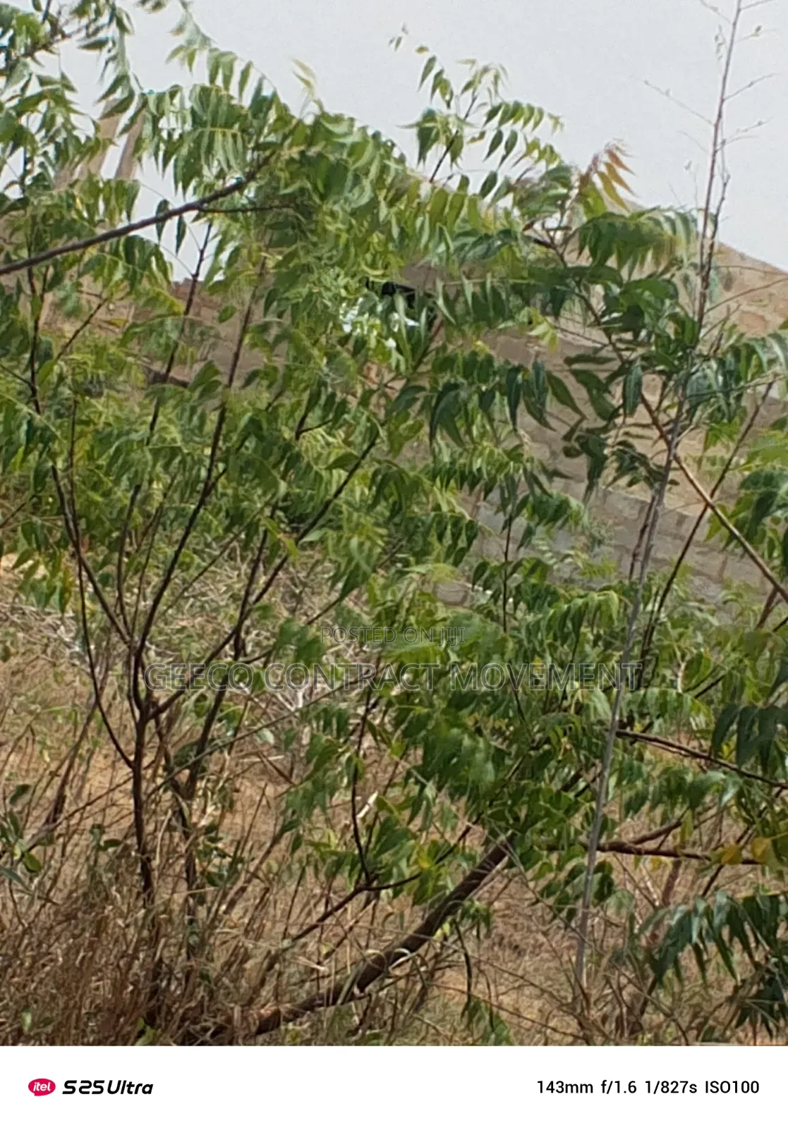 Registered Land for Sale Hot Cake