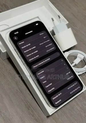 Apple iPhone 15 Pro Max 256 GB Gray