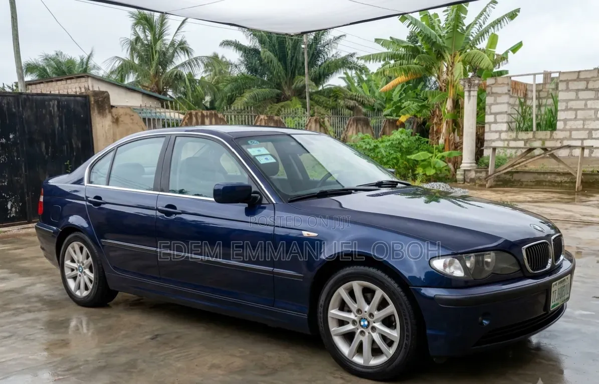 BMW 316i 2005 Blue