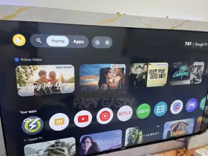 Google TVS