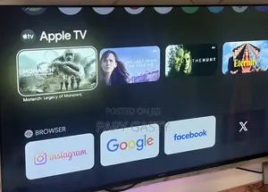 Google TVS