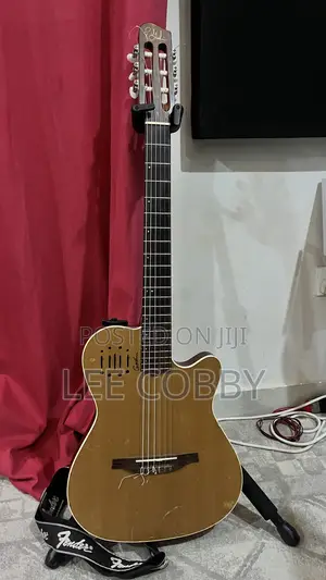 Godin Guitar