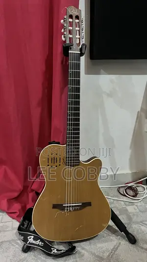 Godin Guitar