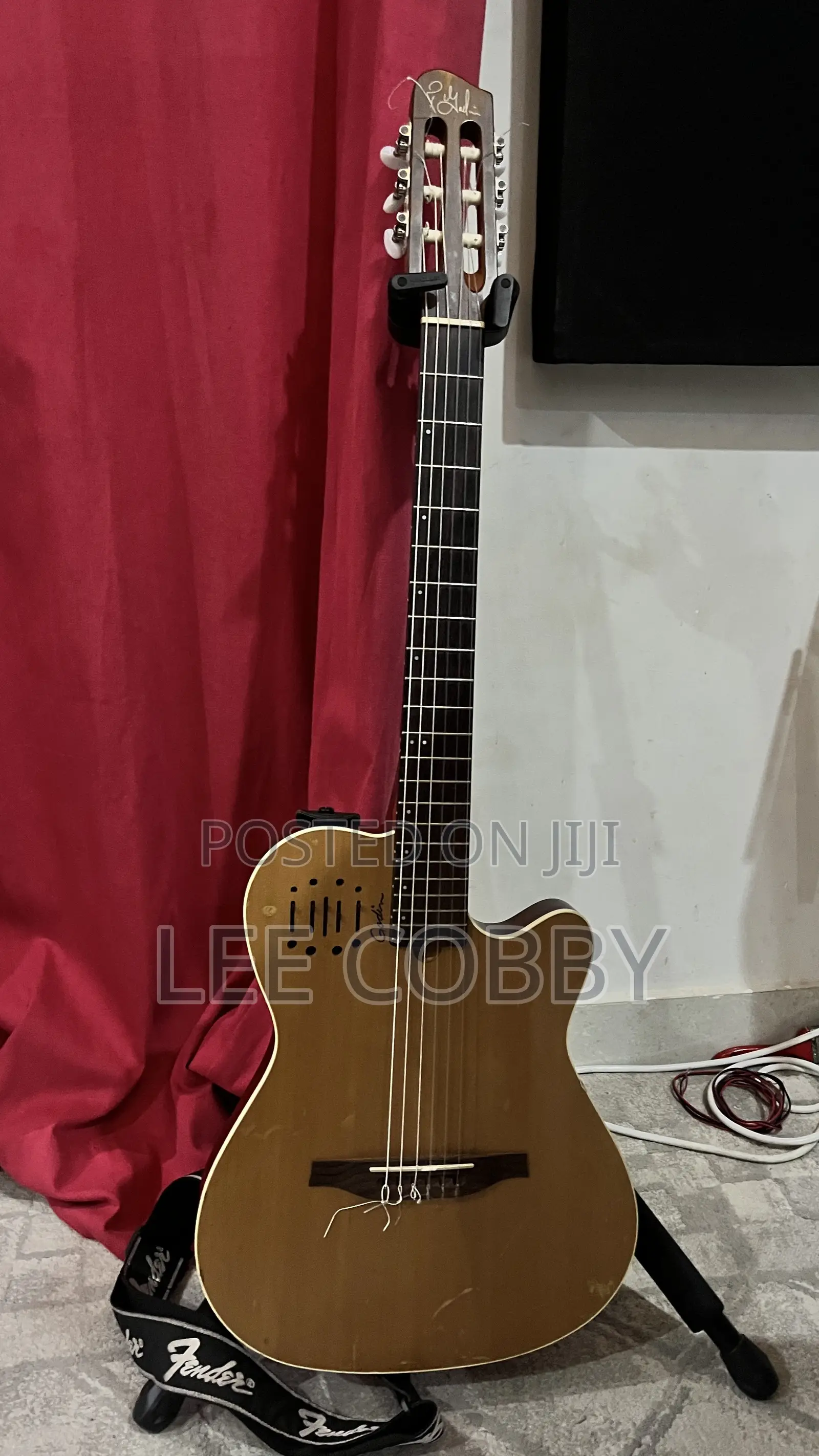 Godin Guitar
