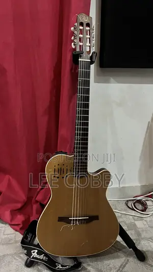Godin Guitar