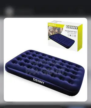 Quick Set Up Great Comfort (Inflatable Air Mattress Plus Free Pump