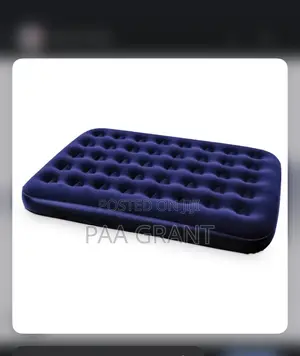 Quick Set Up Great Comfort (Inflatable Air Mattress Plus Free Pump