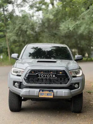Toyota Tacoma TRD Off Road 2019 Gray