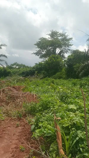 Land for Sale at Kasoa Buduatta