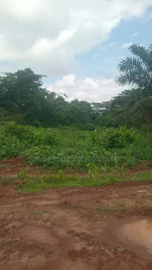 Land for Sale at Kasoa Buduatta