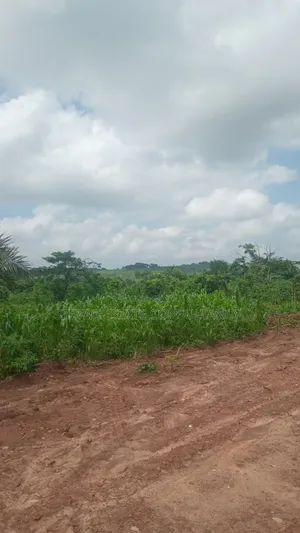 Alpha Investment Land for Sale at Kasoa Buduatta