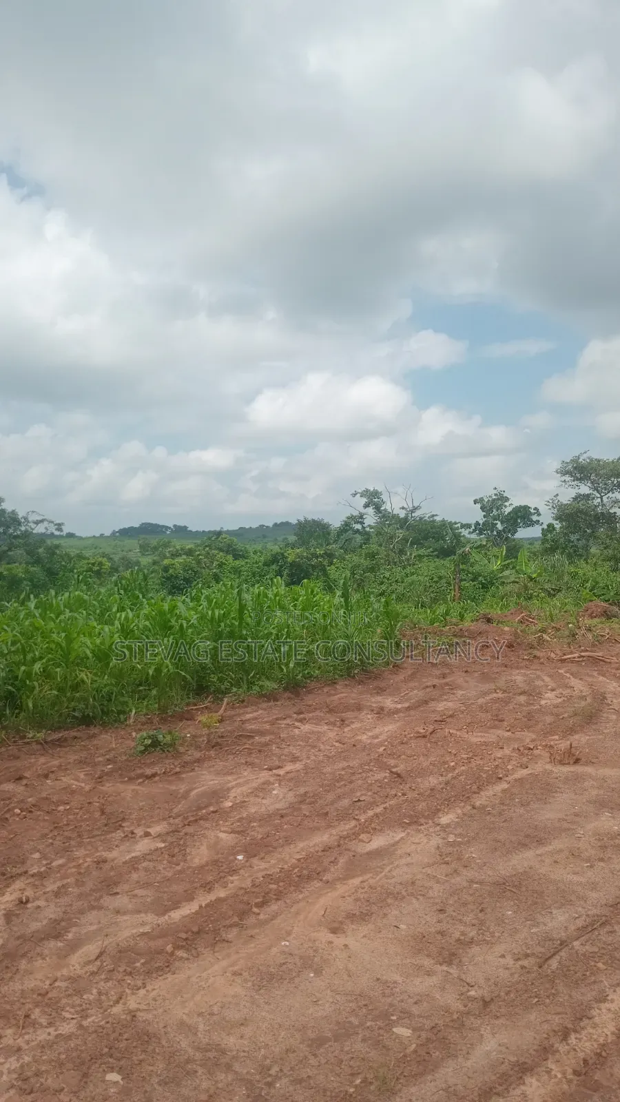 Alpha Investment Land for Sale at Kasoa Buduatta