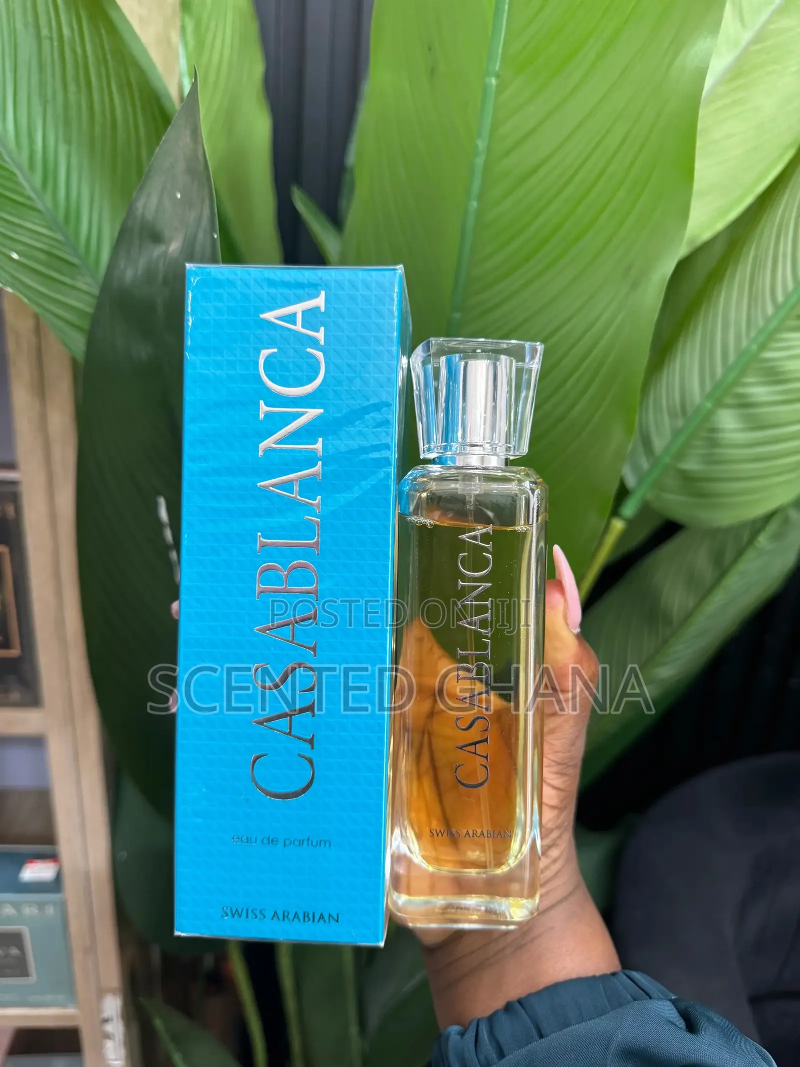 Casablanca by Swiss Arabian