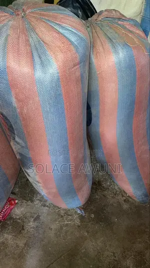 Quality Millet for Sale