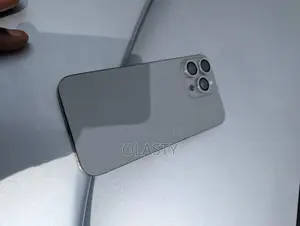 Apple iPhone 15 Pro Max 256 GB Gray