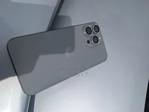 Apple iPhone 15 Pro Max 256 GB Gray