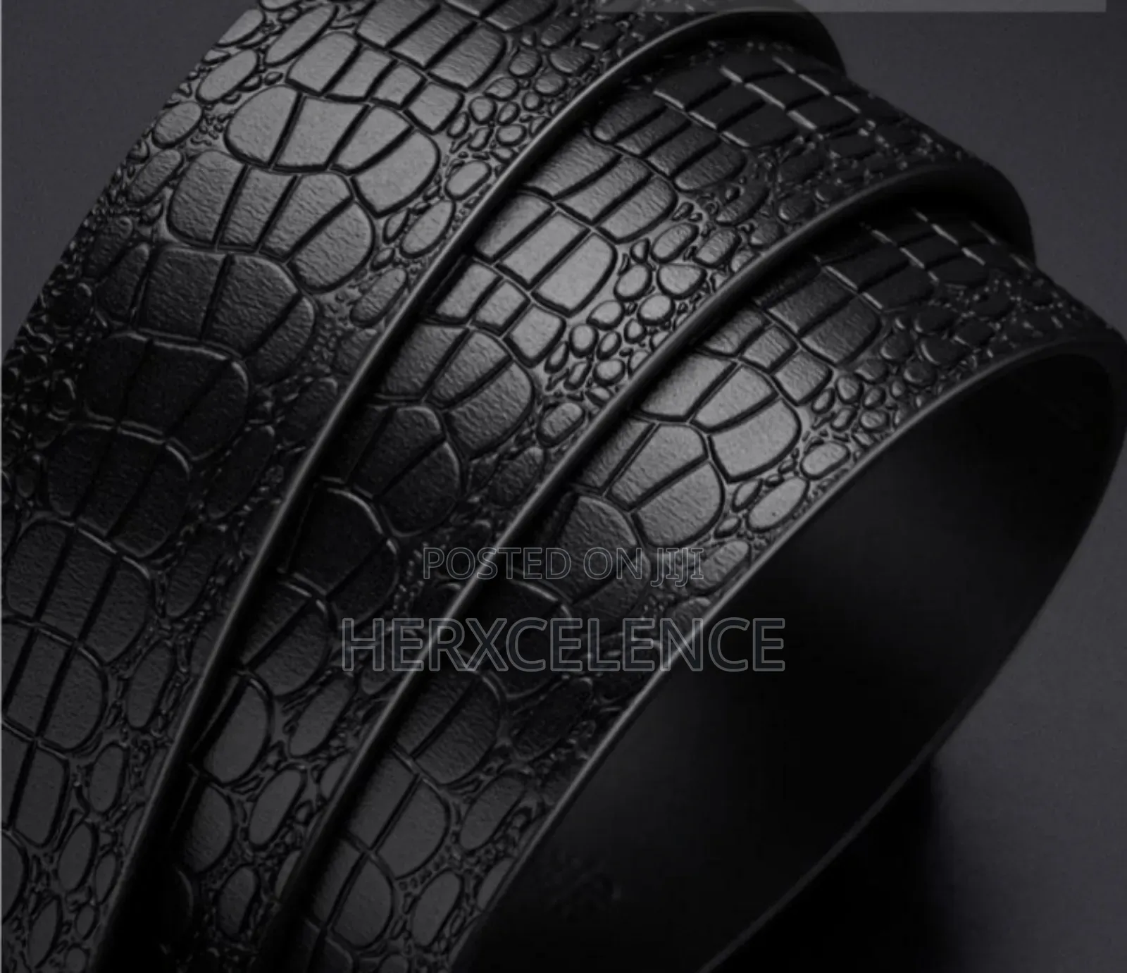 Elegant Mens Belt
