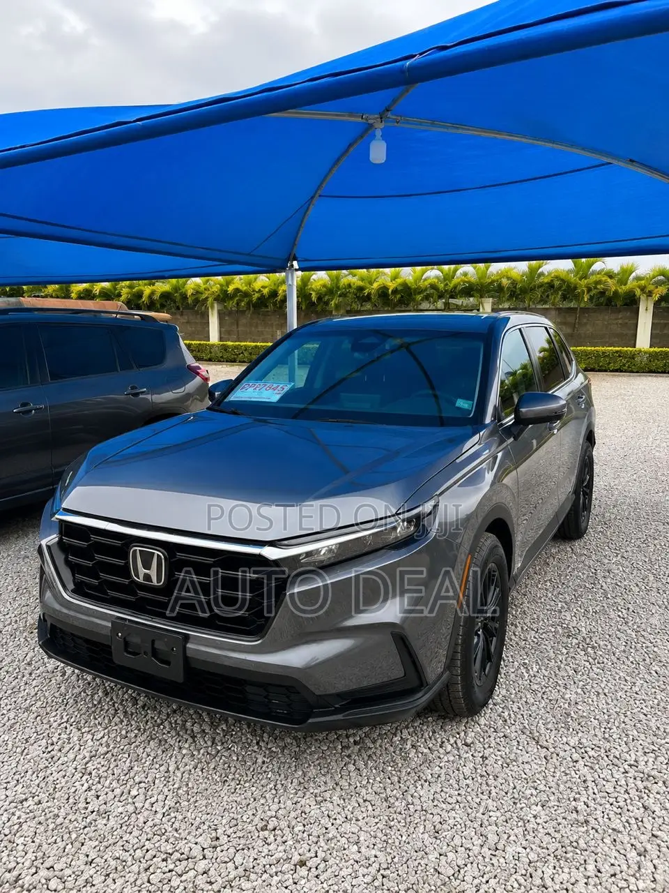 Honda CR-V EX AWD 2025 Gray