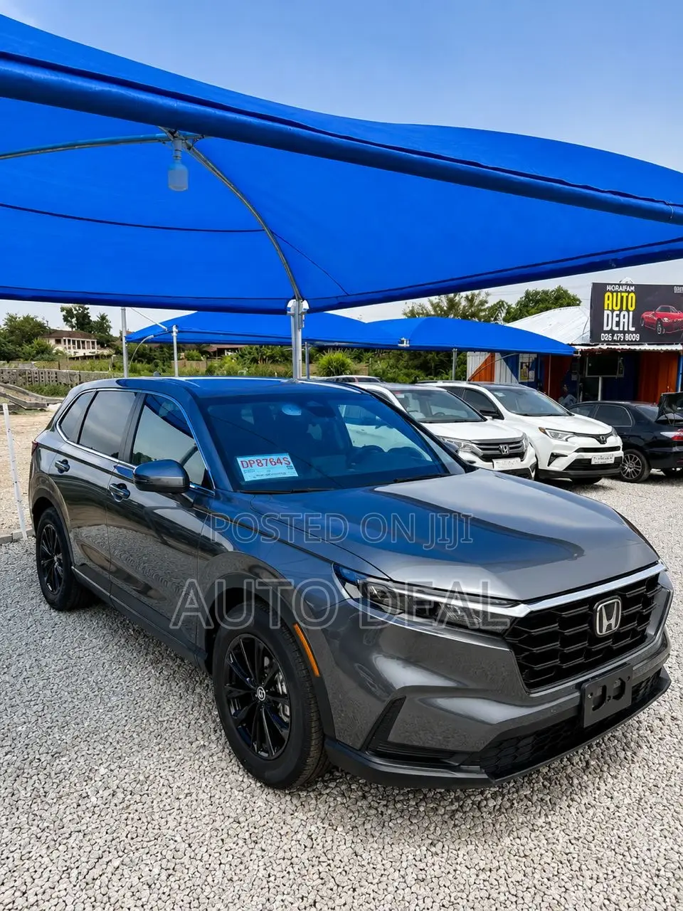 Honda CR-V EX AWD 2025 Gray