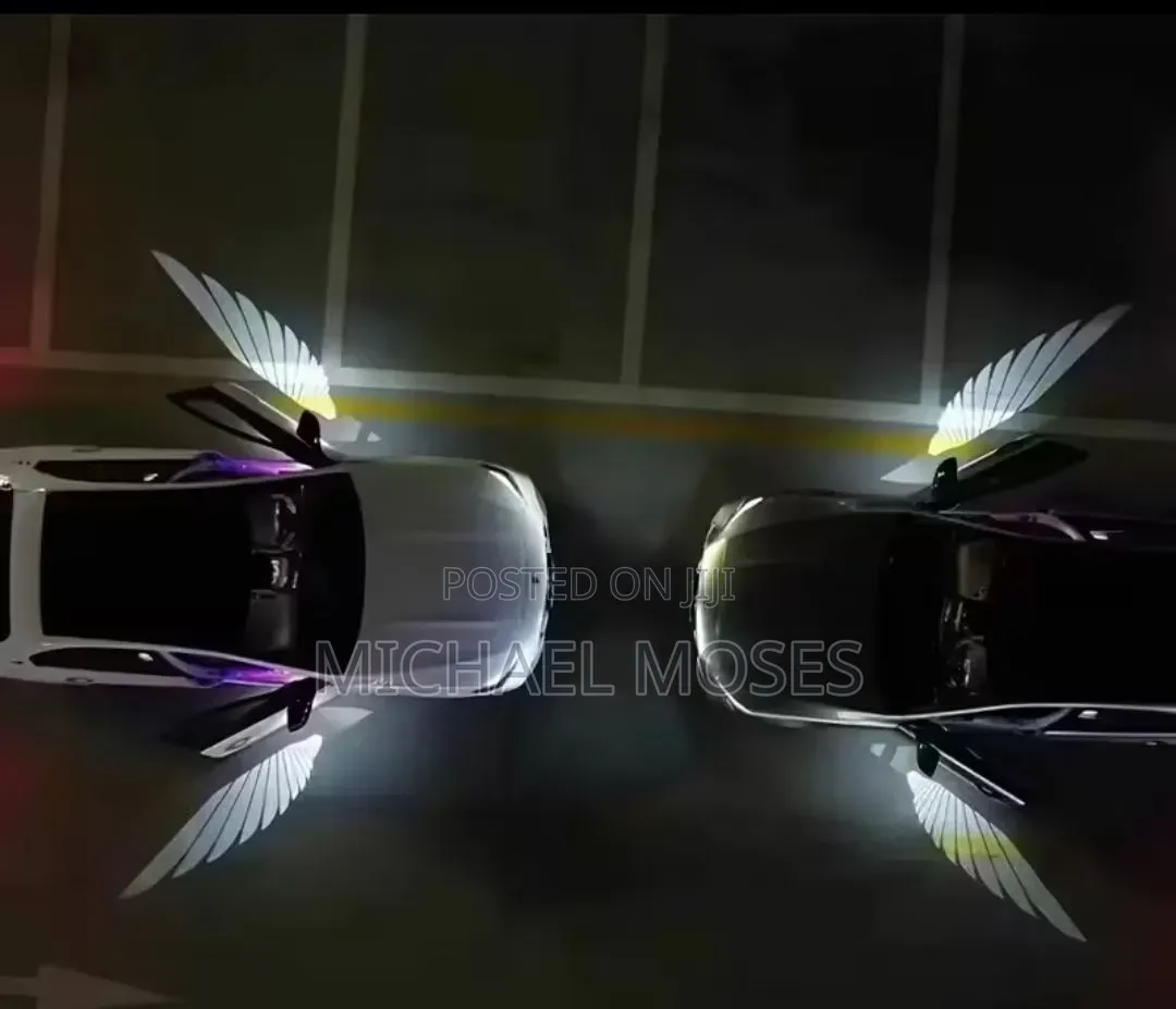 BMW Door Logo