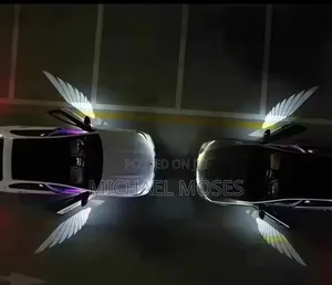 BMW Door Logo