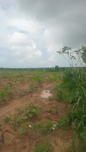Affordable Land for Sale at Nsawam Ayibontey