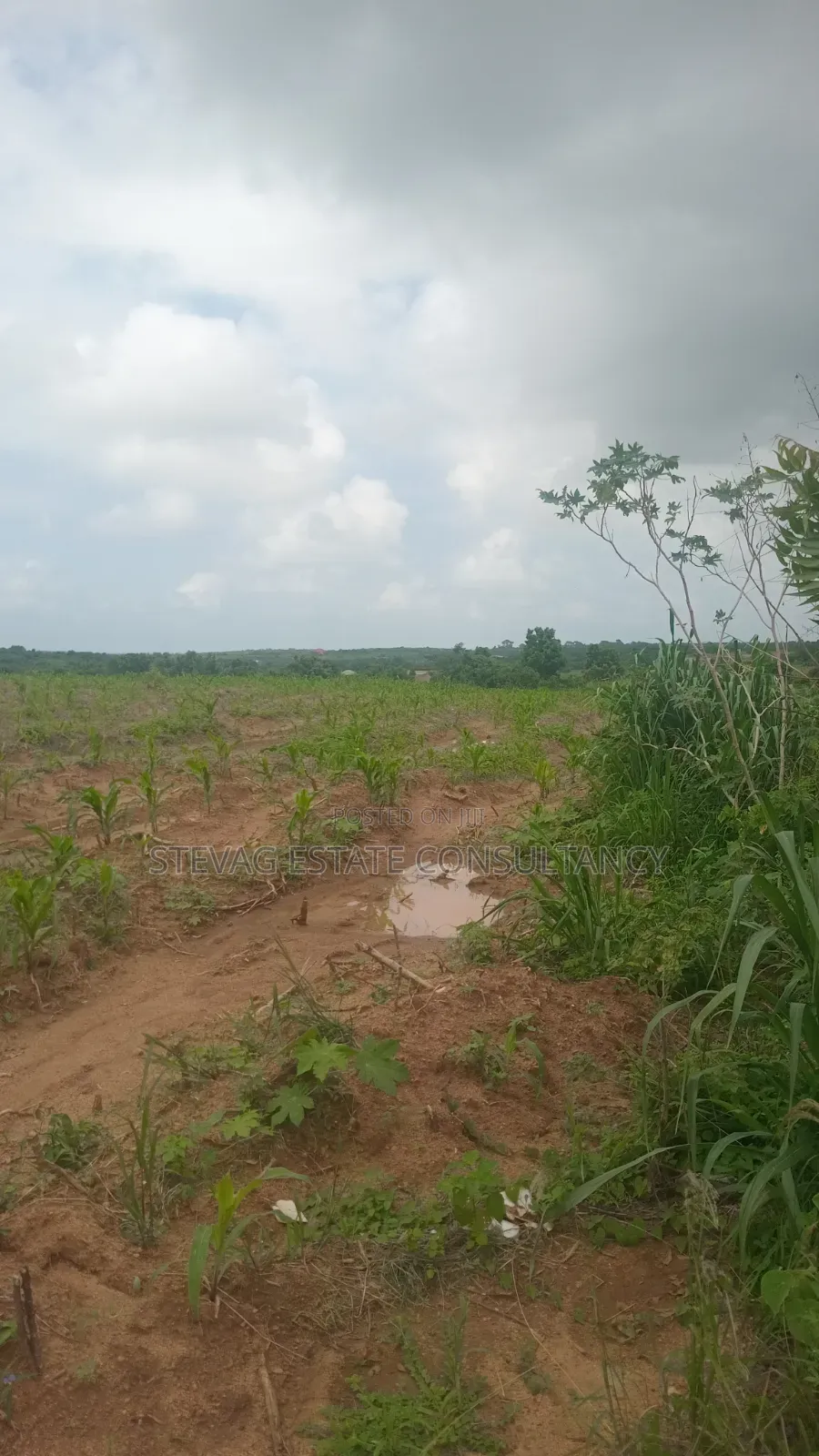 Affordable Land for Sale at Nsawam Ayibontey