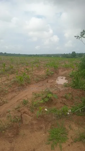 Genuine Estate Company Land for Sale at Nsawam Ayibontey