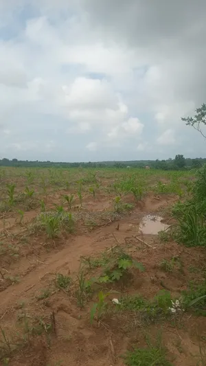 Genuine Estate Company Land for Sale at Nsawam Ayibontey