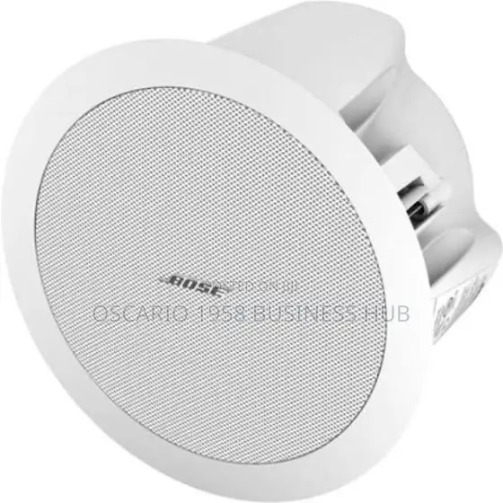 Bose Freespace Ds 16f 2-1/4” Commercial in-Ceiling Loudspeaker 