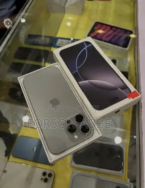 Apple iPhone 16 Pro Max 256 GB Silver