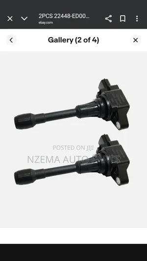 Nissan Coils 2015