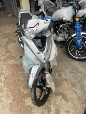 Apsonic AP110 2026 Gray